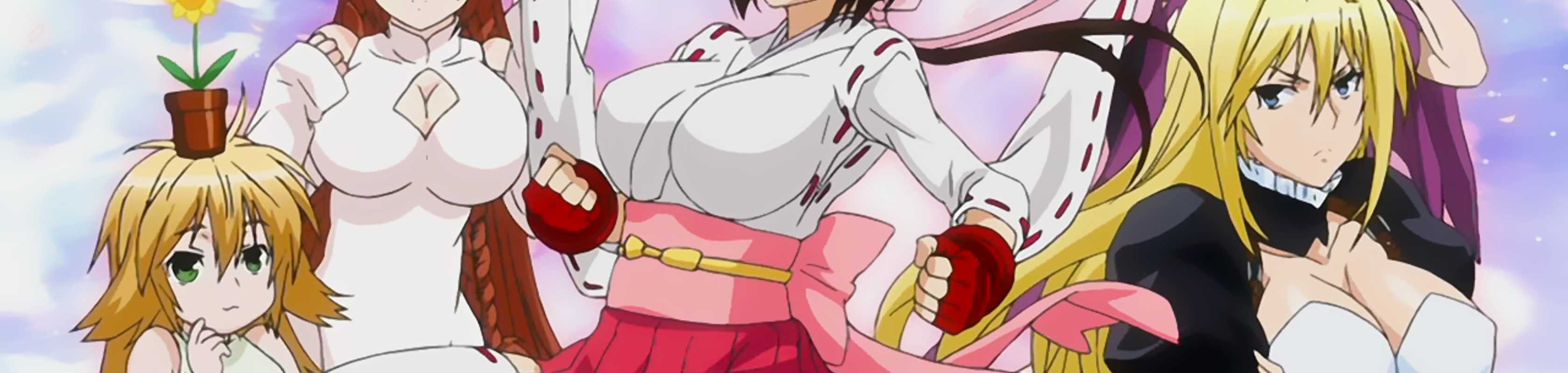 Sekirei banner