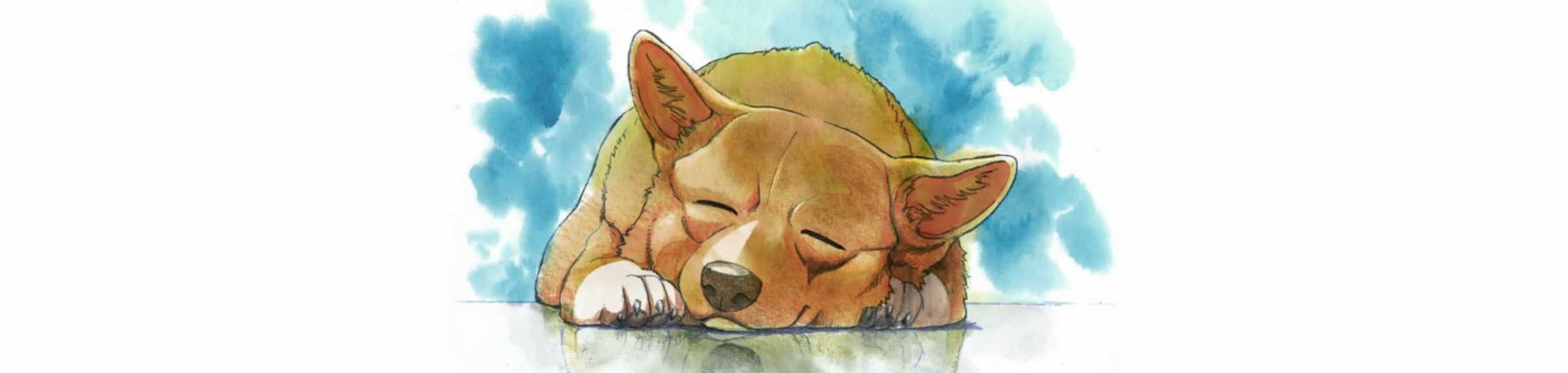Ein's Summer Vacation banner