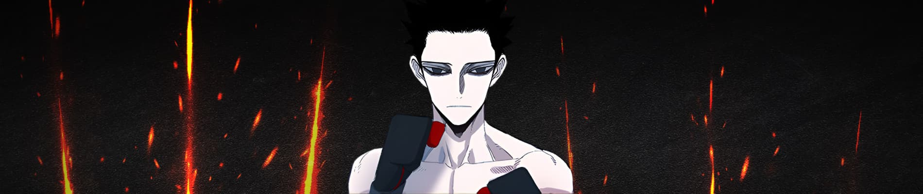 The Boxer banner