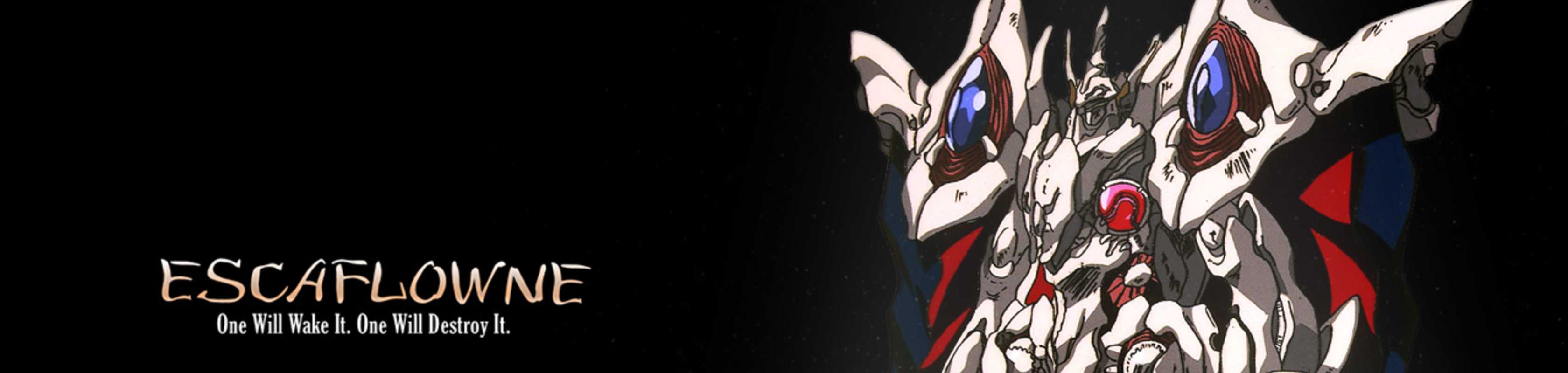 The Vision of Escaflowne banner
